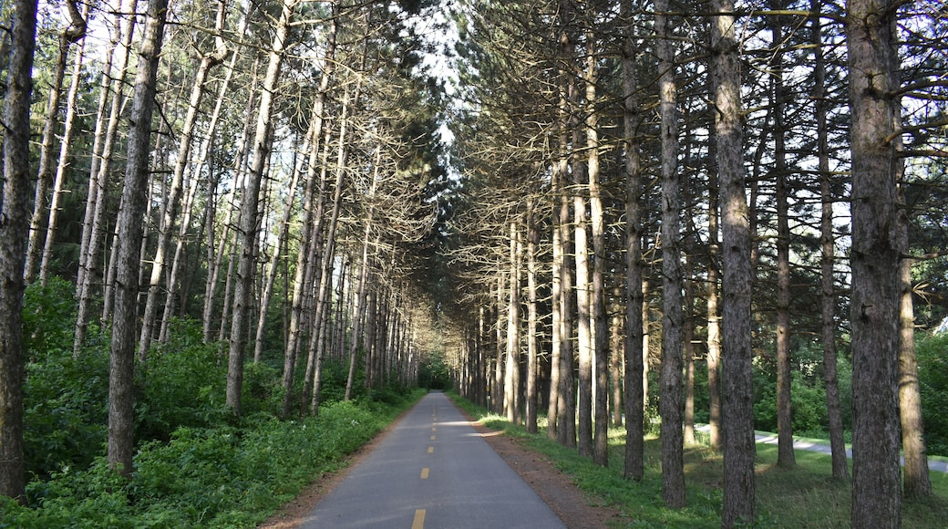 The bike path in summer, Victoriaville, Québec, Canada
