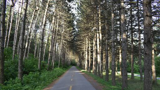 The bike path in summer, Victoriaville, Québec, Canada