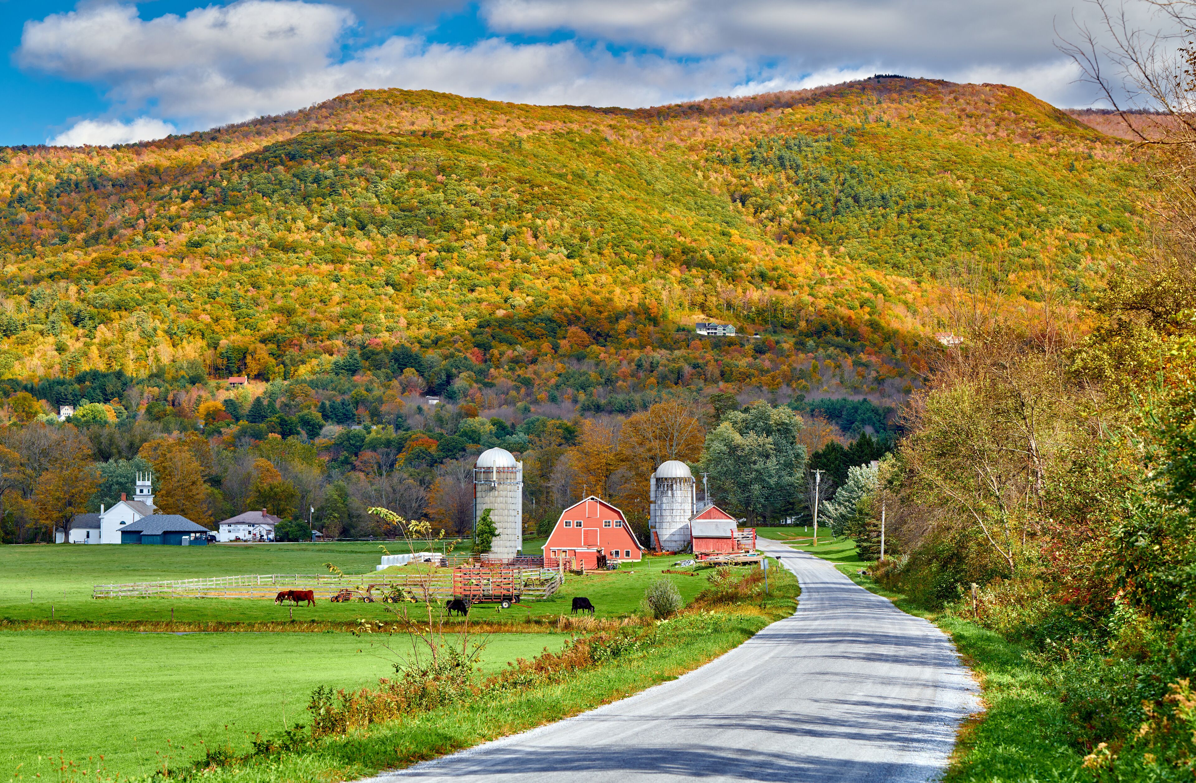 Farm with red barn and silos at sunny autumn day in West Arlington, Vermont, USA