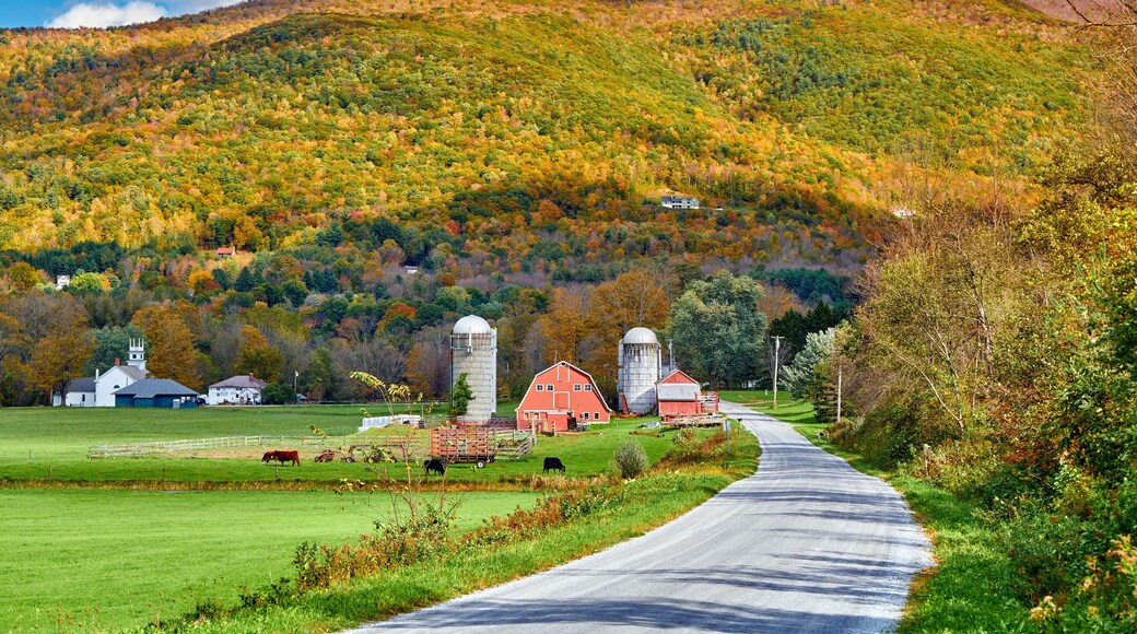 Farm with red barn and silos at sunny autumn day in West Arlington, Vermont, USA