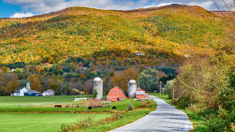A rural landscape with a winding road, barns, silos, and a church.