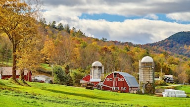 Farm with red barn and silos at sunny autumn day in West Arlington, Vermont, USA