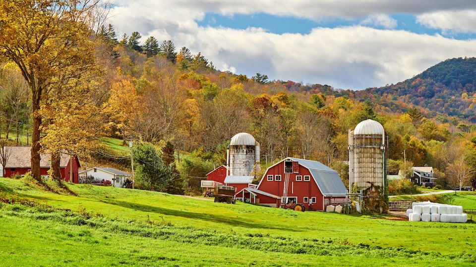 A rural landscape with barns, silos, and autumn-colored trees.