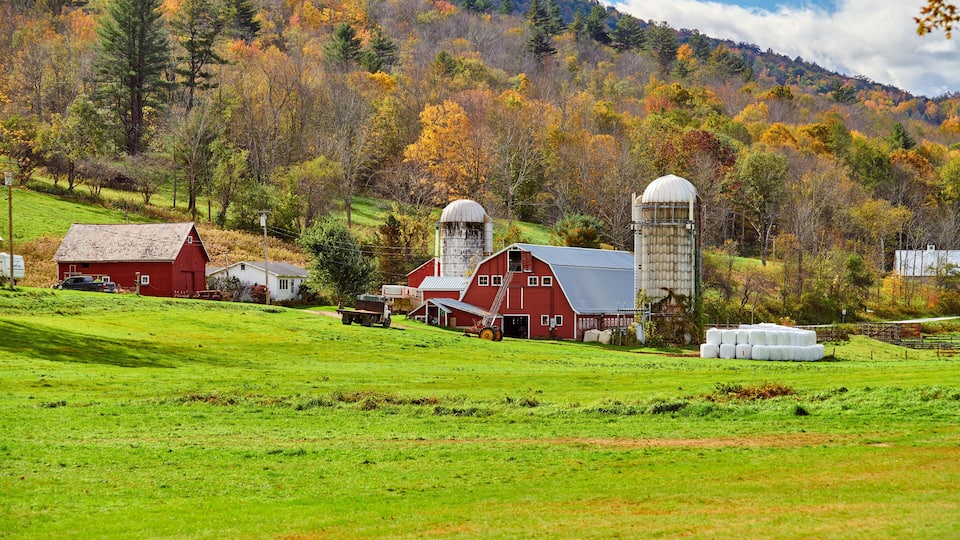 A rural farm with barns, silos, and hay bales in a green field with autumn-colored trees in the background.