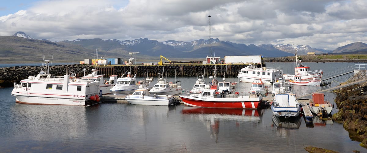 Hafen von Breiddalsvik, Island