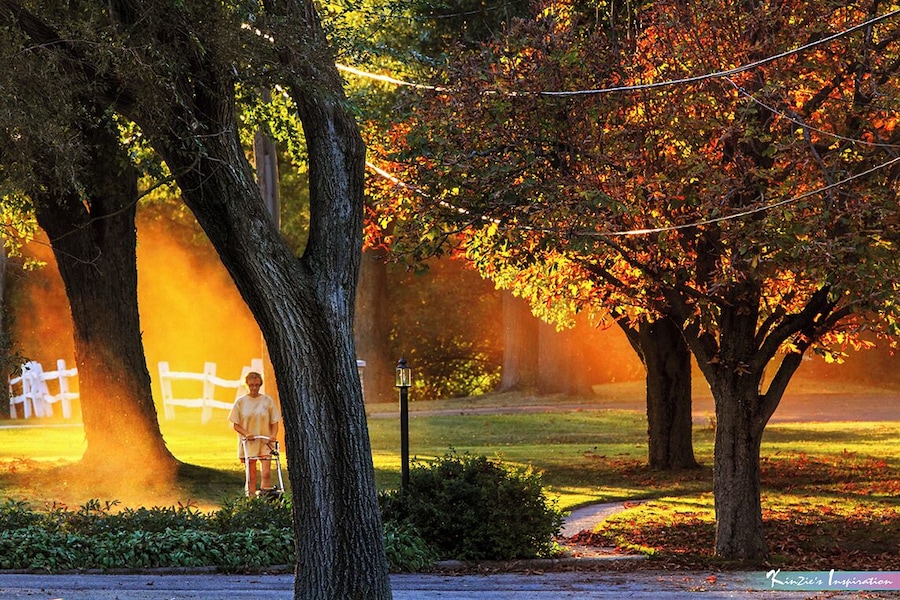 Autumn Orange Sunset Ray *Nature's Portraits Inspiration*
#MyBackyard
#Nature
#City
#Illinois
#Villa Park
#USA
#Chicago
#Sunrise
#Mist
#Tree
#Landscape
#Autumn
#Fall
How amazing if you can catch an orange sun ray created by combinations of dust, sunlight and autumn leafs color while a lady trimming lawn at her house front yard.
Villa Park is just one of the residential city where located not far away from Chicago, Illinois. However, this unique scene caught in the right place, right angle, right timing, right moment and right season.
This scene was a very rare and the beauty of "Nature", photo captured at Villa Park, Illinois USA during Autumn season.
Photo Licensed by iLOVEnature's Photography Inspiration l All rights reserved