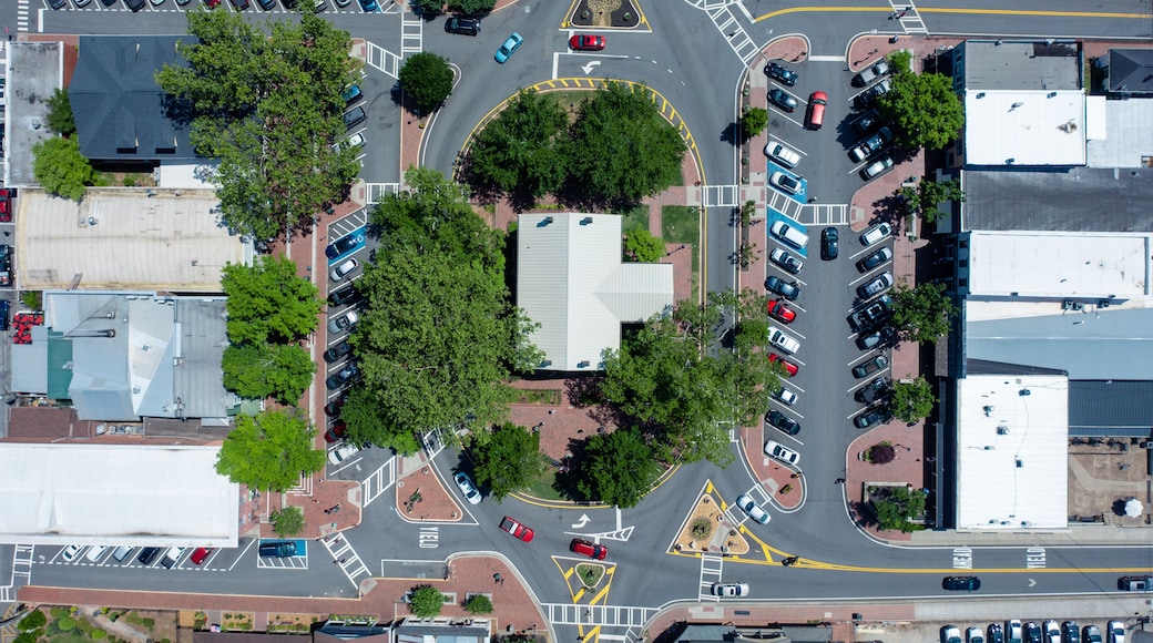 Aerial view of downtown Dahlonega with the Gold Museum at the center of the town square