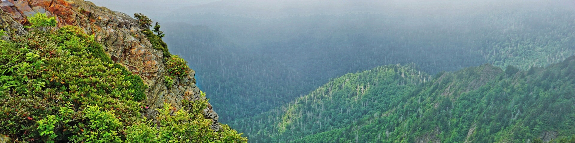 A person standing on a rocky cliff overlooking a lush valley.
