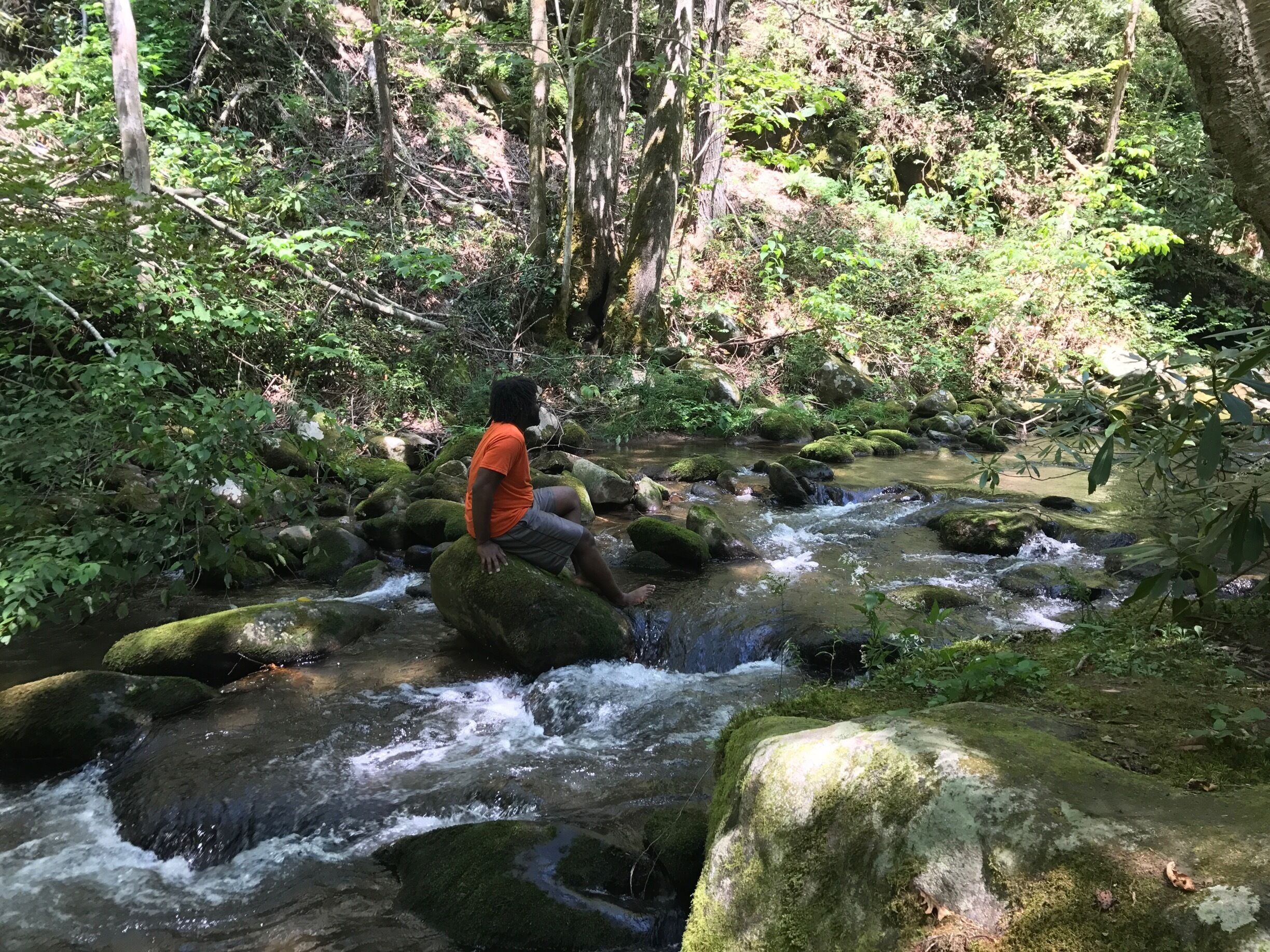 Pull off and cool your feet in a cool #mountain spring!! #water #smokymountains #nationalparks #tennessee #aquatrove
#nationalpark