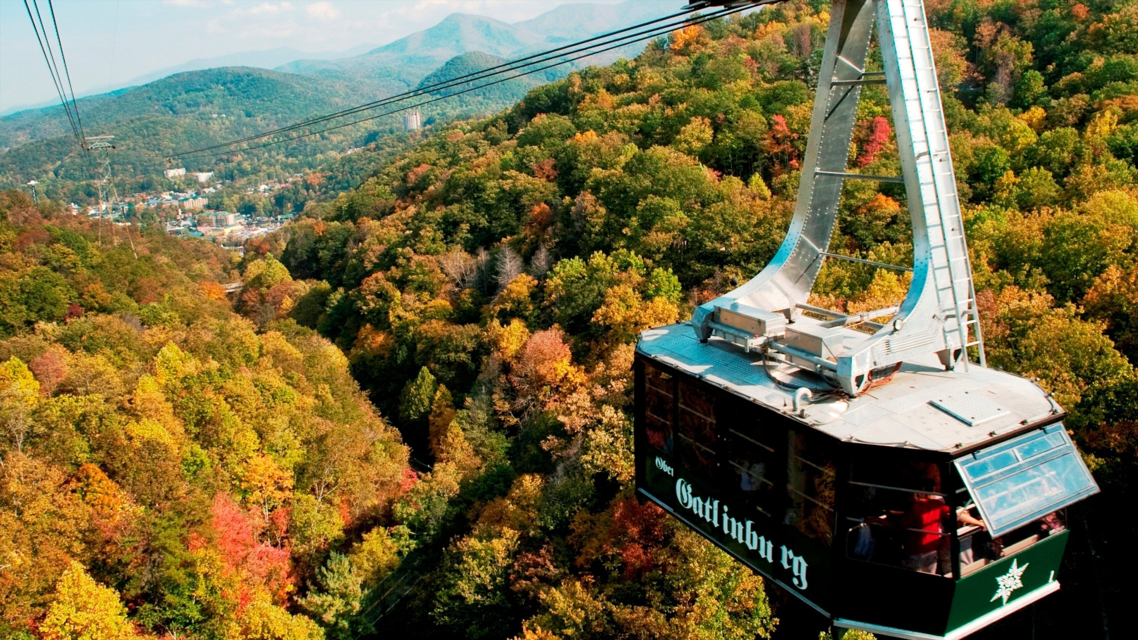 A cable car suspended over a forested mountain area with autumn foliage.