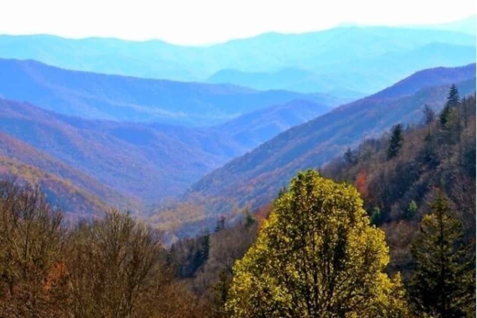A mountainous landscape with autumn foliage.