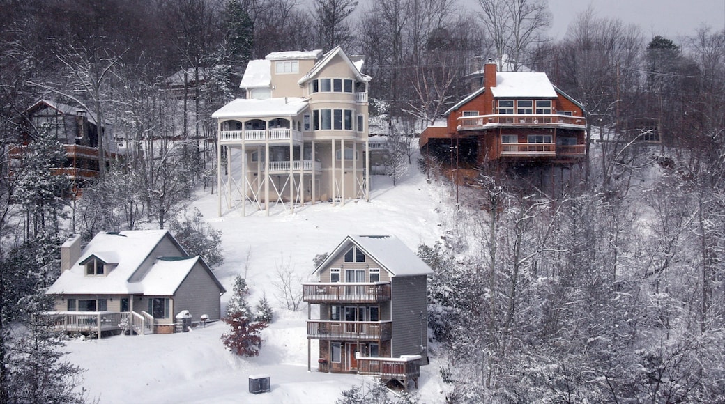 ガトリンバーグ フィーチャー 小さな町あるいは村, 森林 と 家屋