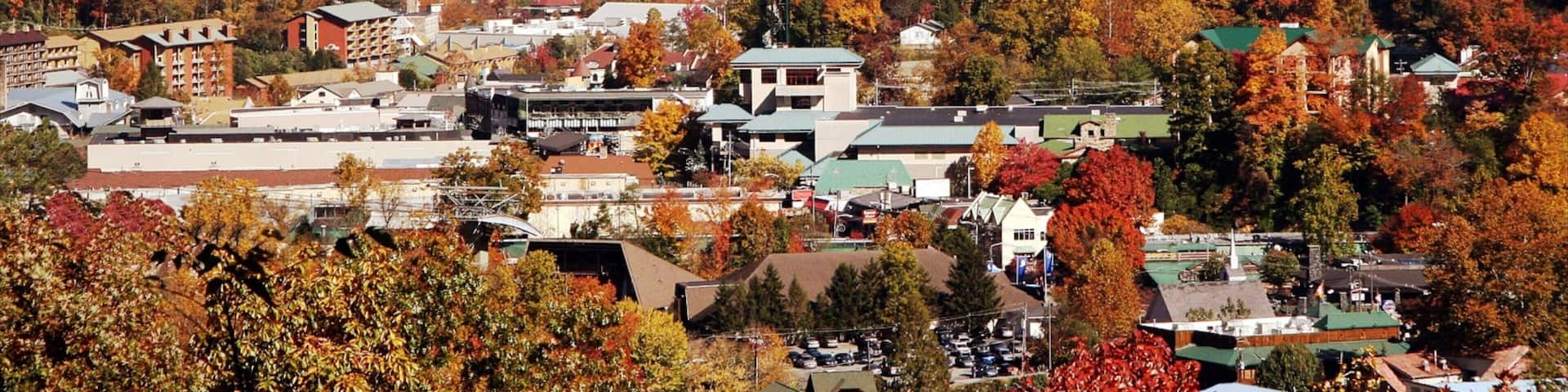 Gatlinburg mostrando bosques y un pueblo