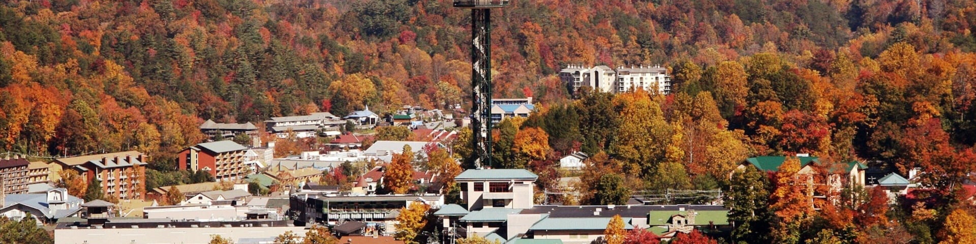 Gatlinburg featuring forests and a small town or village