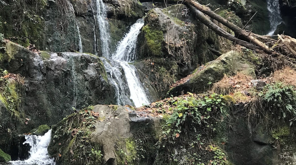 You can hike to this or there is a pull off area close by.