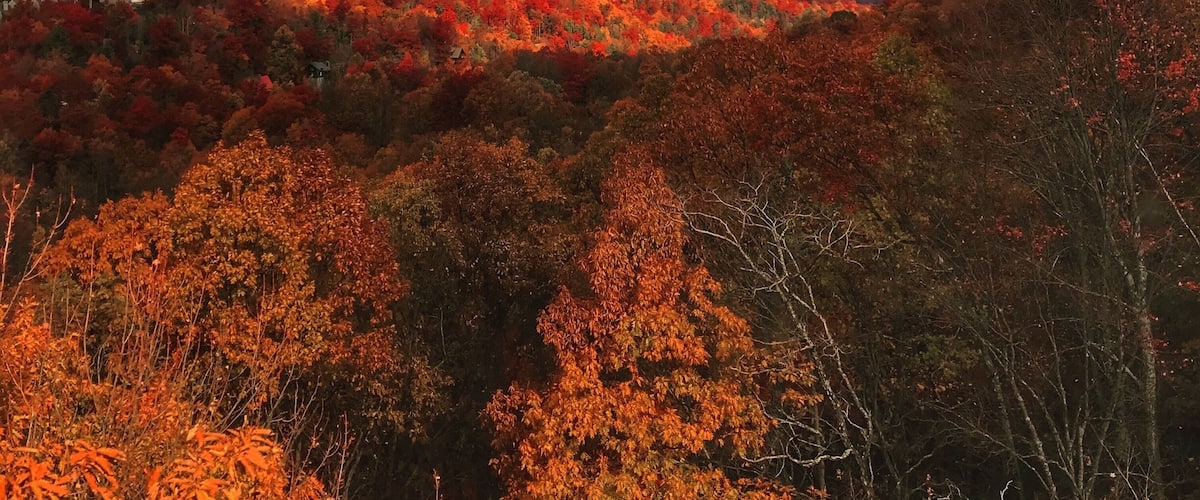 On the tram to the top