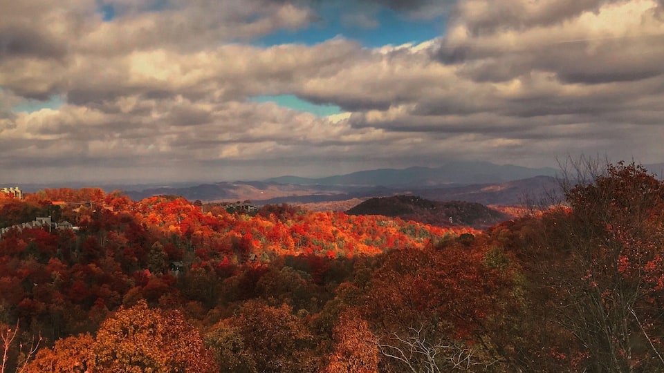On the tram to the top