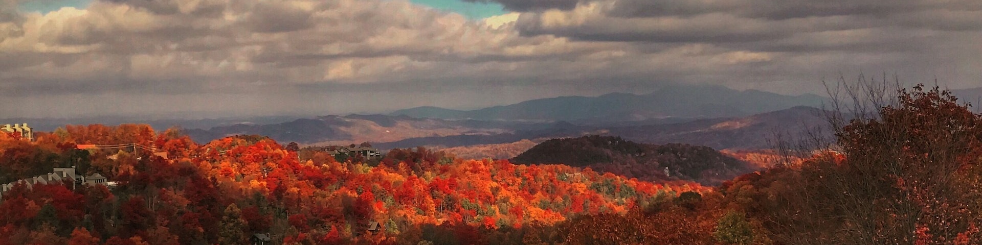 On the tram to the top