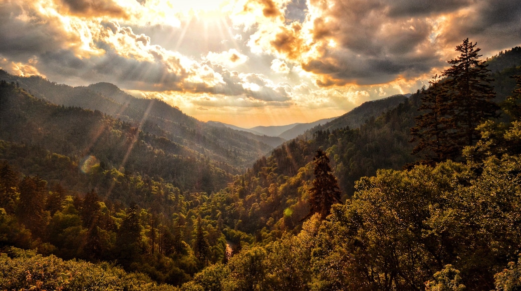 Gatlinburg TN
Very breathtaking view from the Tennessee/North Carolina border @newfoundgaproad