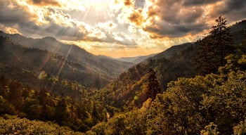 Gatlinburg TN
Very breathtaking view from the Tennessee/North Carolina border @newfoundgaproad
