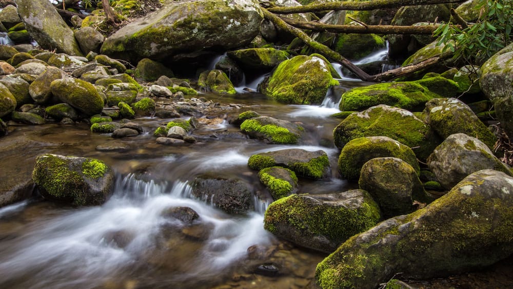 Great Smoky Mountain Stream. Stream flows through the wilderness of the America's most popular national park in the Great Smoky Mountains in Gatlinburg, Tennessee.