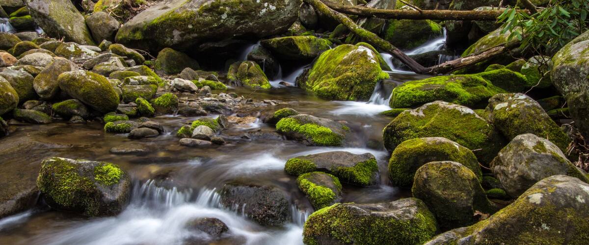 Great Smoky Mountain Stream. Stream flows through the wilderness of the America's most popular national park in the Great Smoky Mountains in Gatlinburg, Tennessee.