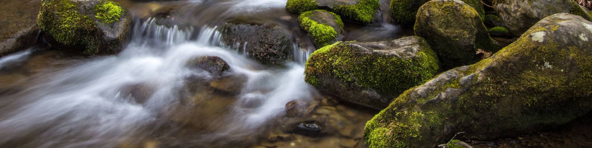 Great Smoky Mountain Stream. Stream flows through the wilderness of the America's most popular national park in the Great Smoky Mountains in Gatlinburg, Tennessee.