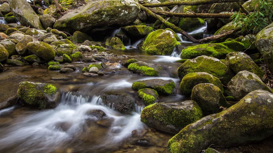 Great Smoky Mountain Stream. Stream flows through the wilderness of the America's most popular national park in the Great Smoky Mountains in Gatlinburg, Tennessee.