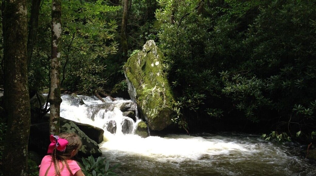 ロアリング フォーク