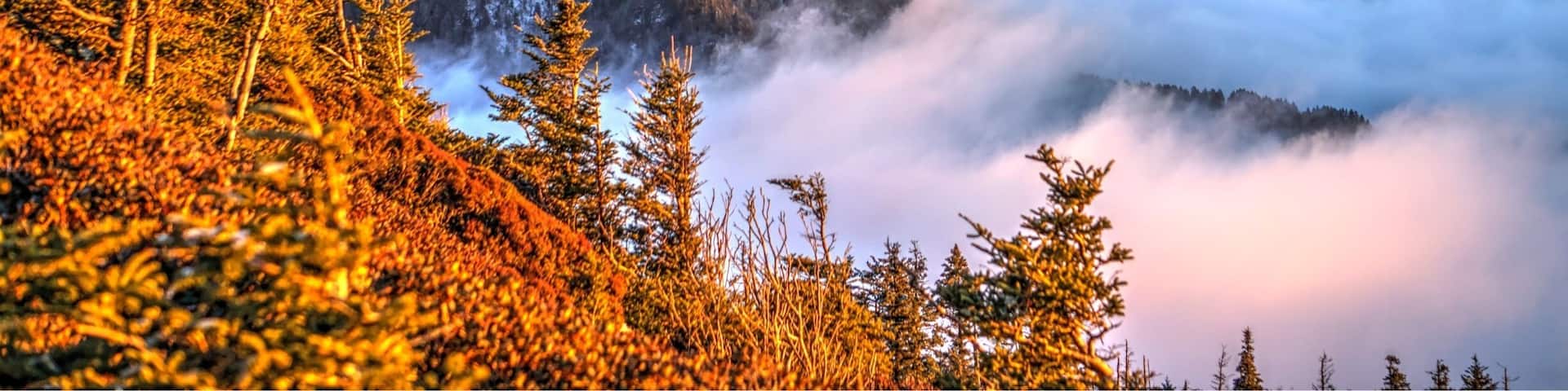 Sunset above the clouds