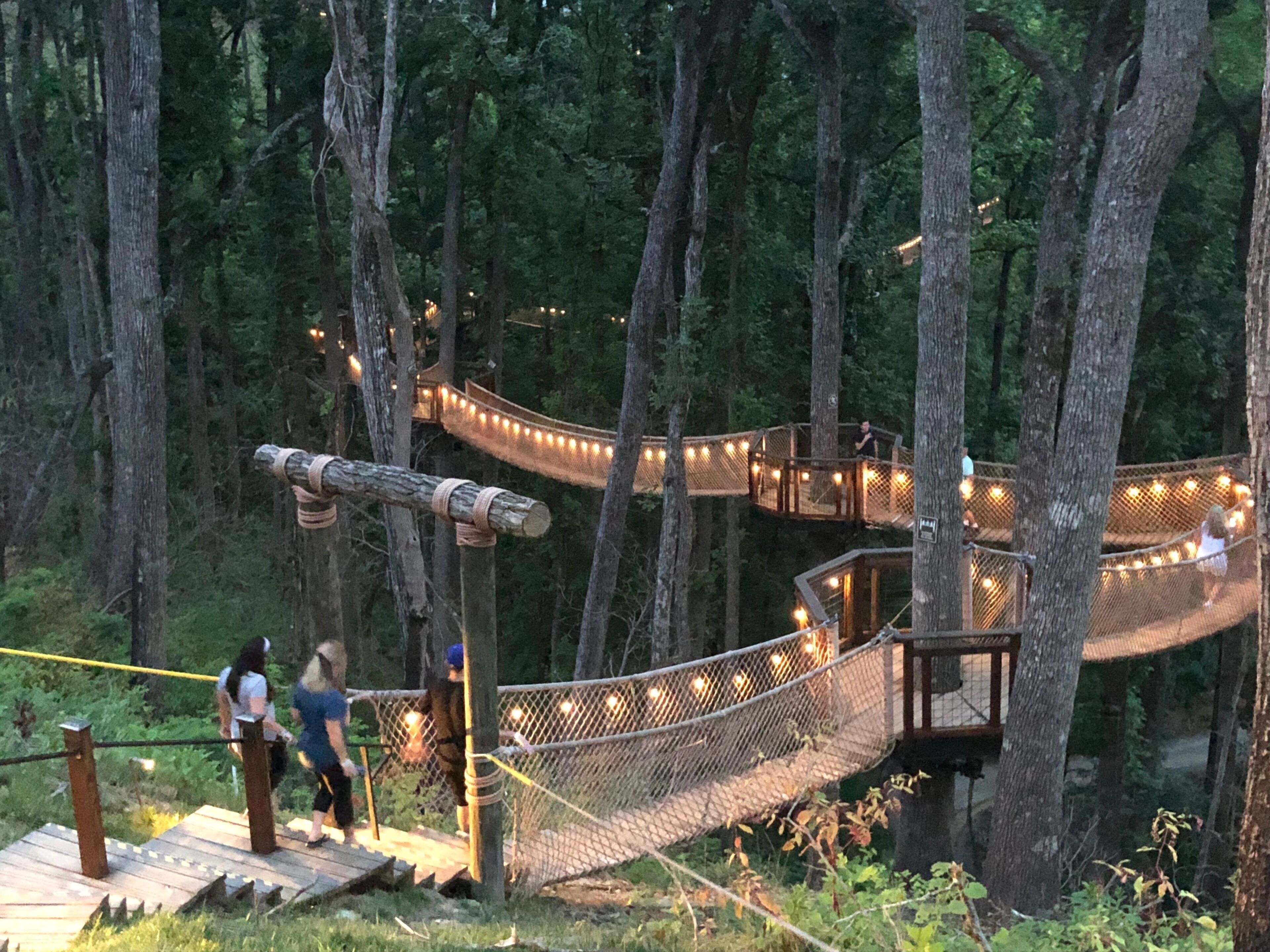 Anakeesta tree canopy walk next to Smoky Mountain National Park in Gatlinburg Tennessee. 
