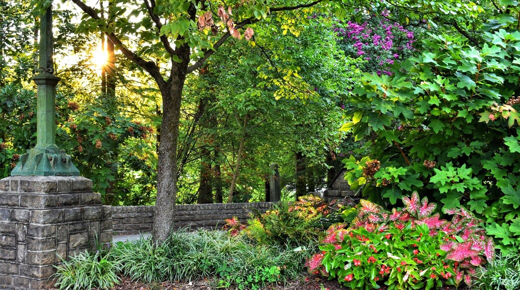 Trees, flowers and landscaping along walkway in park