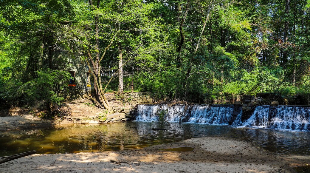 a majestic shot of a waterfall on South Fork Peachtree Creek surrounded by lush green trees reflecting off the water at Lullwater Preserve in Decatur Georgia