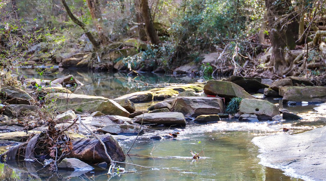 A shot of the still green creek waters with lush green trees and bare tree branches along the banks of the creek with lush green grass at Tanyard Creek Park in the Buckhead area of Atlanta Georgia