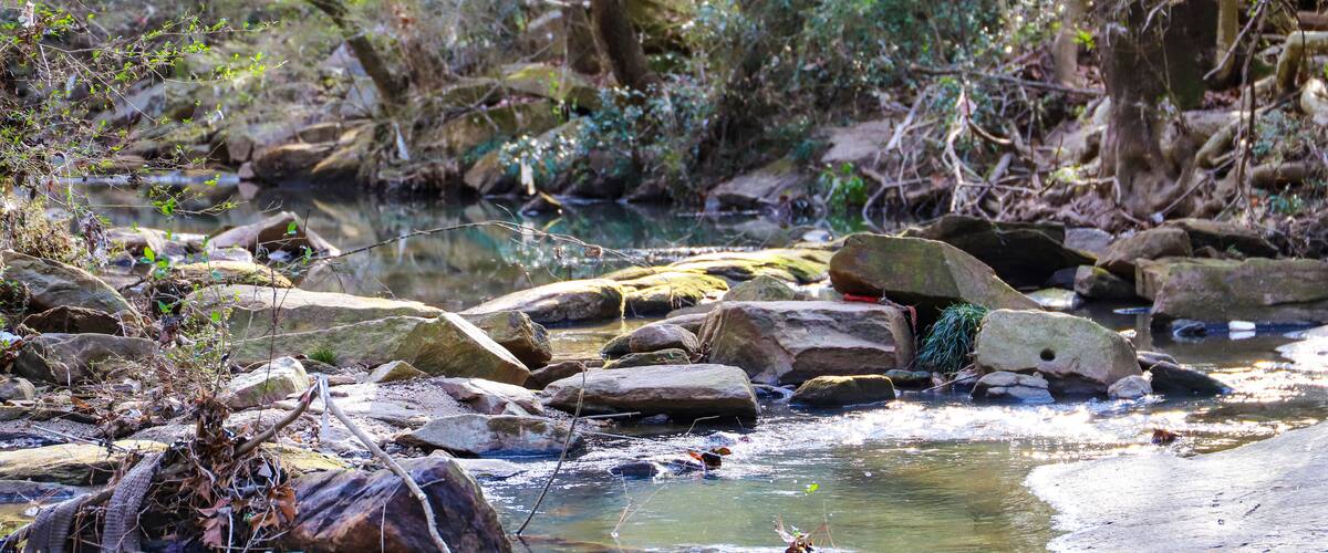 A shot of the still green creek waters with lush green trees and bare tree branches along the banks of the creek with lush green grass at Tanyard Creek Park in the Buckhead area of Atlanta Georgia