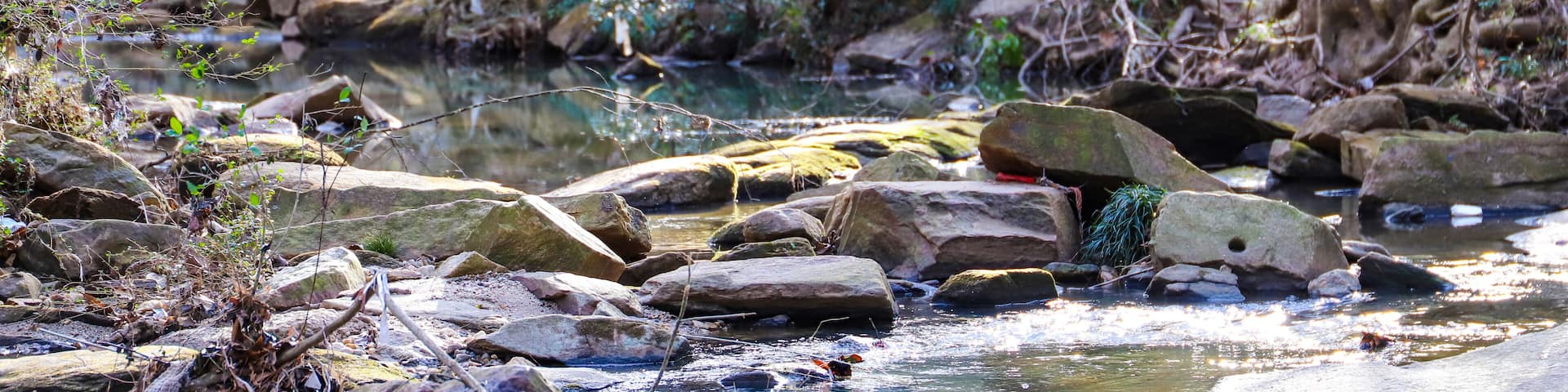 A shot of the still green creek waters with lush green trees and bare tree branches along the banks of the creek with lush green grass at Tanyard Creek Park in the Buckhead area of Atlanta Georgia