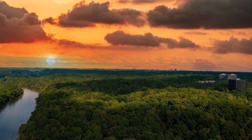 ป่าอาร์โกน