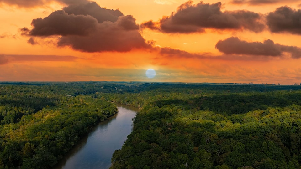 A river winding through a dense forest with a sunset in the background.