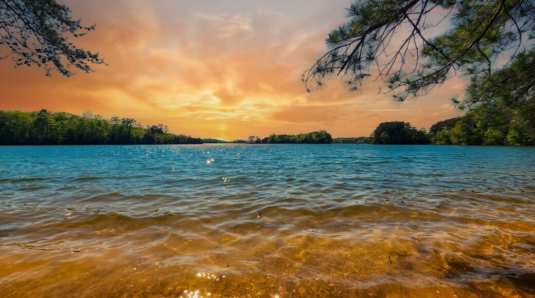 a gorgeous spring landscape at Lanier Point Park with rippling blue water surrounded by lush green trees and plants with powerful clouds at sunset at Lake Lanier in Gainesville Georgia USA
