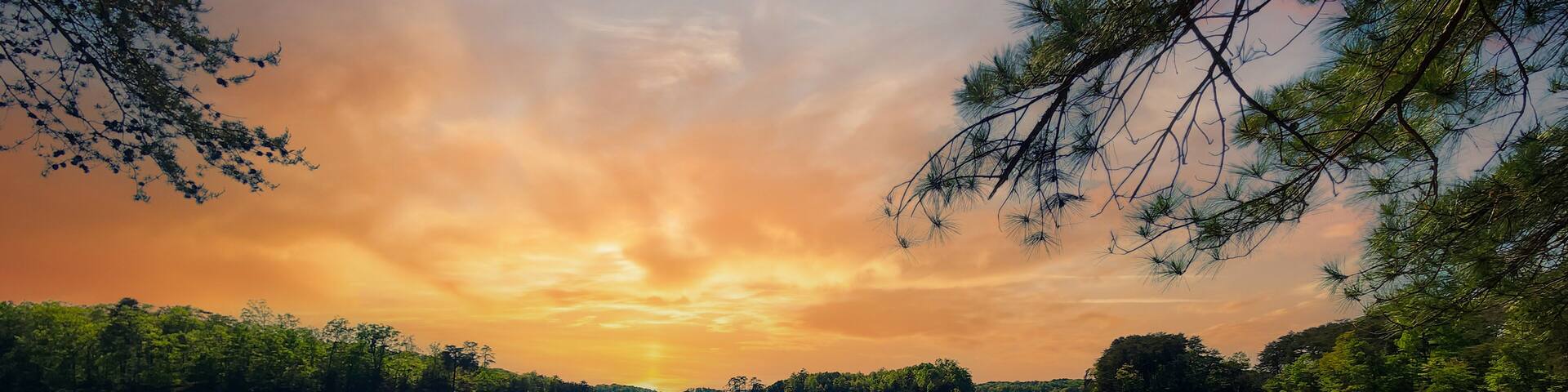 a gorgeous spring landscape at Lanier Point Park with rippling blue water surrounded by lush green trees and plants with powerful clouds at sunset at Lake Lanier in Gainesville Georgia USA