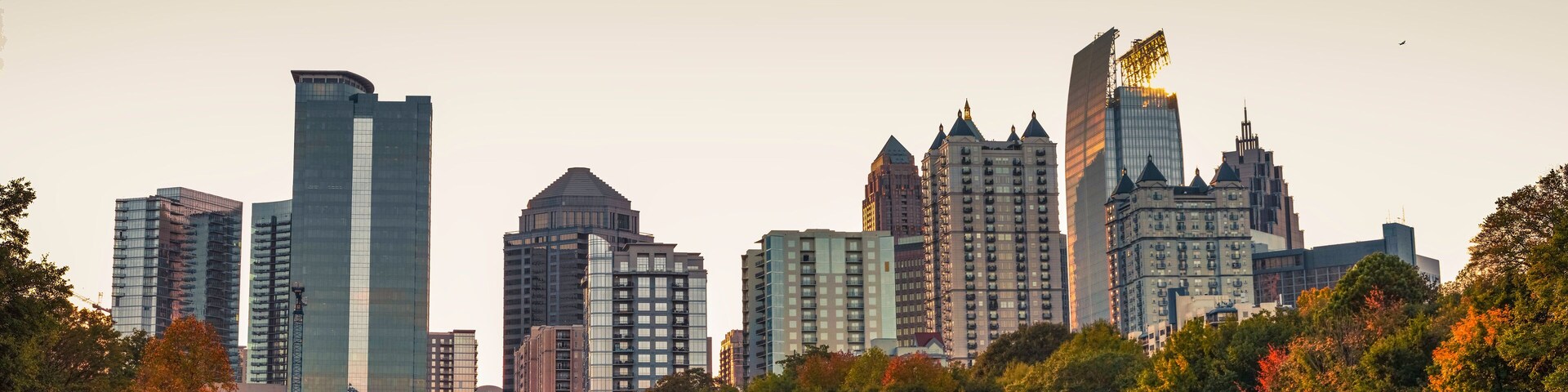 A view of the midtown Atlanta skyline from the nostalgic Piedmont Park.