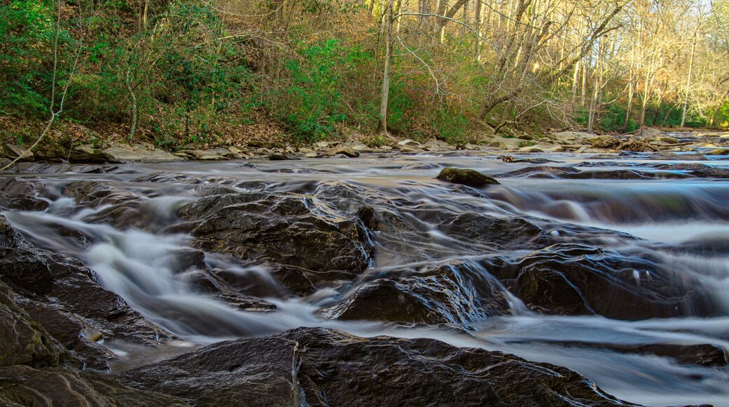 Sope Creek in Atlanta Georgia with rocks in the foreground