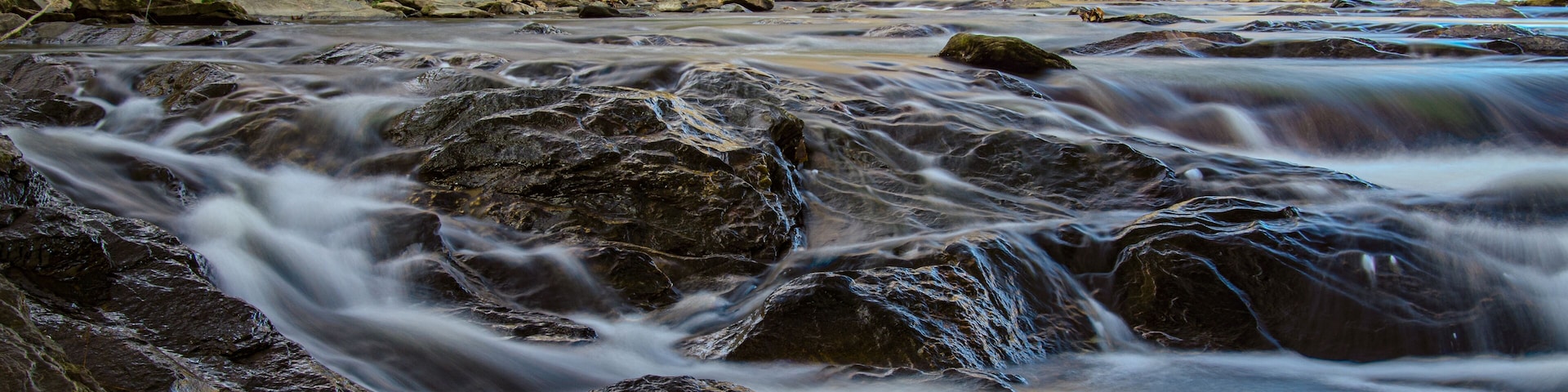 Un río que fluye sobre rocas con un bosque al fondo.