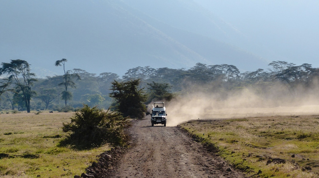 4x4 jeep driving in the Ngorongoro Crater near Serengeti National Park, Tanzania, Africa.