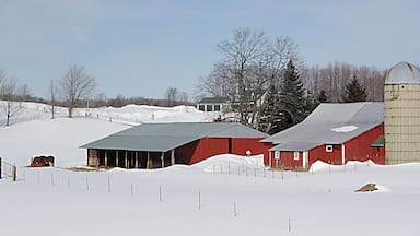 Winter in Michigan
Gaylord is a city in and the county seat of Otsego County, Michigan, United States. The population was 3,645 at the 2010 census. The city is also the seat of the Roman Catholic Diocese of Gaylord, the smallest settlement by far serving as the location of an active Roman Catholic cathedral in the United States.