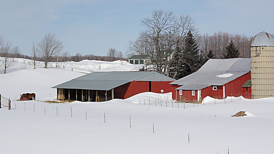 Winter in Michigan
Gaylord is a city in and the county seat of Otsego County, Michigan, United States. The population was 3,645 at the 2010 census. The city is also the seat of the Roman Catholic Diocese of Gaylord, the smallest settlement by far serving as the location of an active Roman Catholic cathedral in the United States.