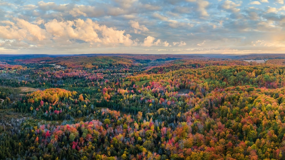 Colorful Autumn Sunrise over the Otsego Golf Club Resort area in Gaylord, Michigan