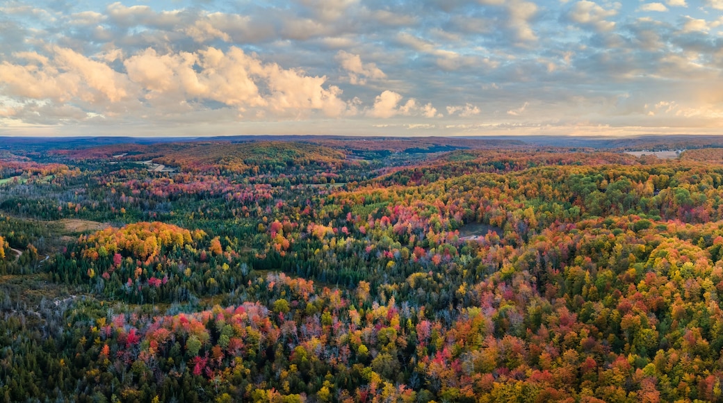 Colorful Autumn Sunrise over the Otsego Golf Club Resort area in Gaylord, Michigan