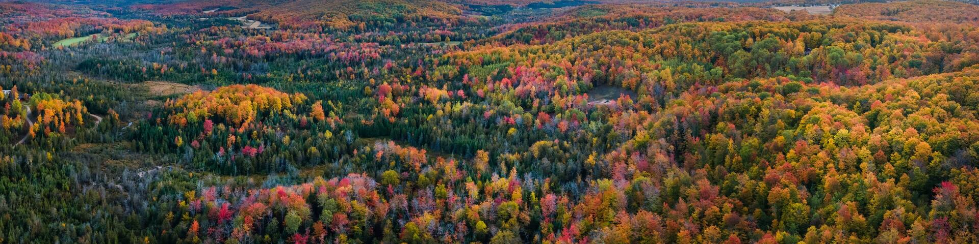 Colorful Autumn Sunrise over the Otsego Golf Club Resort area in Gaylord, Michigan