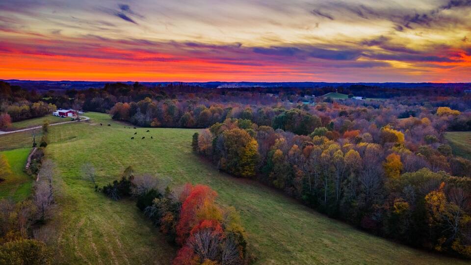 A rural landscape with a sunset, a barn, and grazing cattle.
